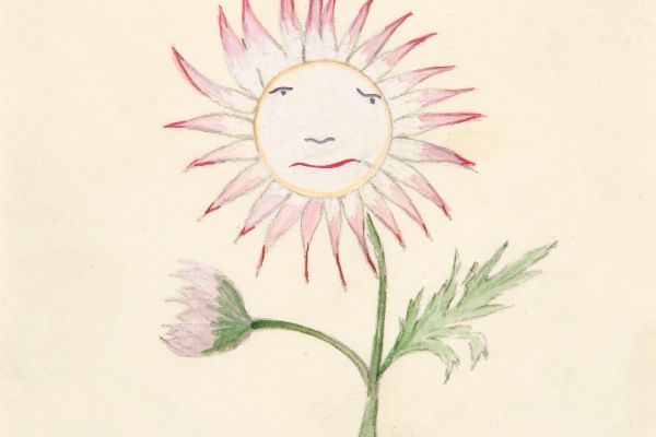 向日葵(Sunflower)