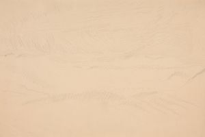 景观(Landscape)