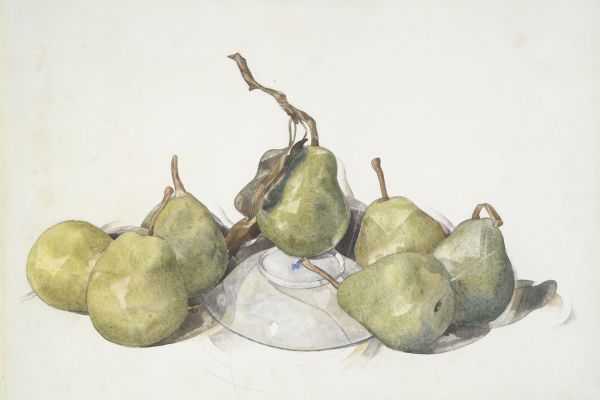 青梨(Green Pears )