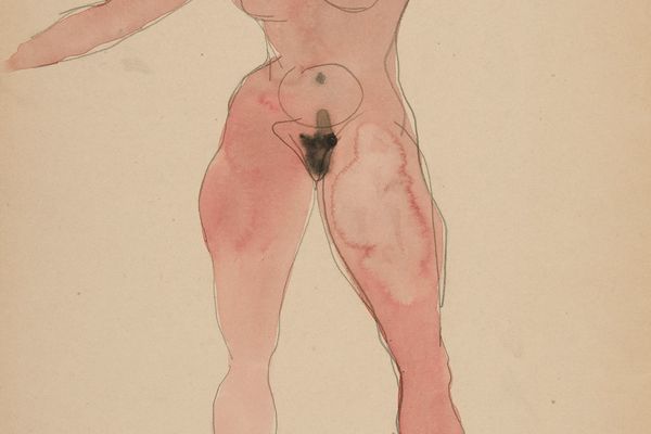 女人体(Female Nude )