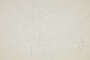 树木(Trees )
