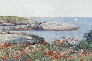罂粟，浅滩岛(Poppies,Isles of Shoals)
