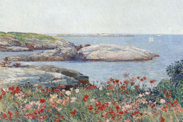 罂粟，浅滩岛(Poppies,Isles of Shoals)