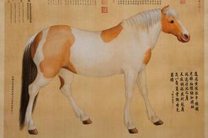 锦云骓轴