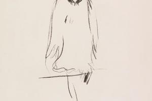 坐着的猛禽。鹰(Sitzender Raubvogel. Adler )