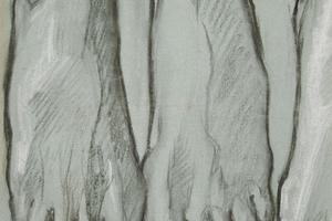 三英尺草图；单脚草图(Sketch of three feet (recto); Sketch of one foot (verso) )