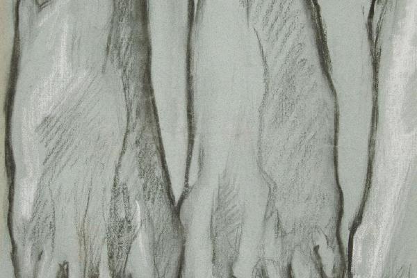 三英尺草图；单脚草图(Sketch of three feet (recto); Sketch of one foot (verso) )