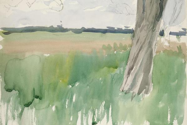 对田地和树木的研究(Study of a field and tree)