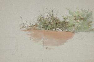 树木景观(Landscape with trees)