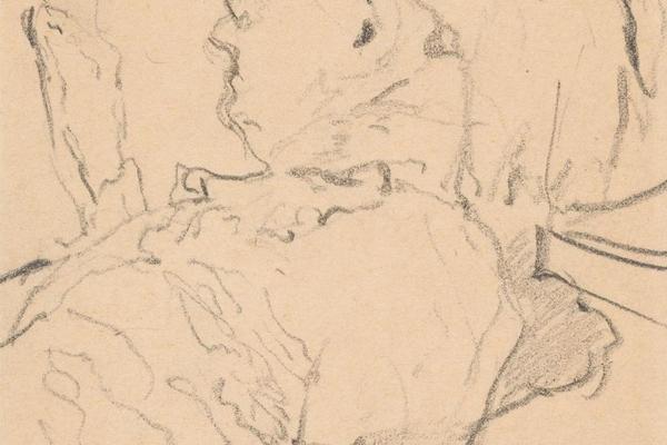 维亚尔夫人的肖像(Portrait of Madame Vuillard )