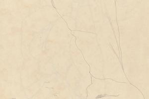 手臂抬高的裸体卧姿研究(Study for Reclining Nude with Arms Raised )