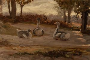 鹅(Geese )