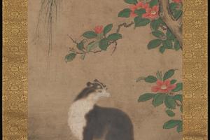 麝香猫图