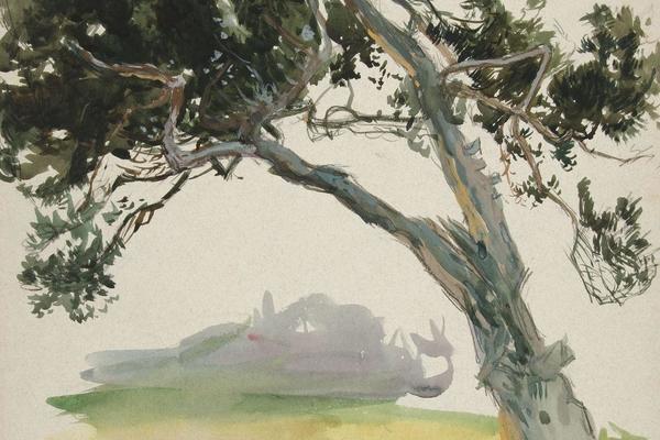 对树和田野的研究(Study of a tree and field)