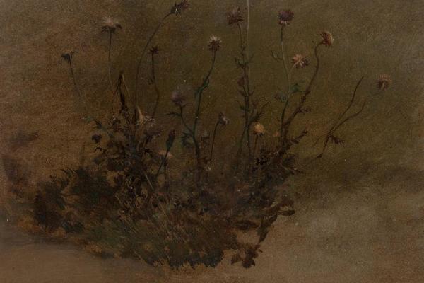 野花（蓟）(Wild Flowers (Thistles))