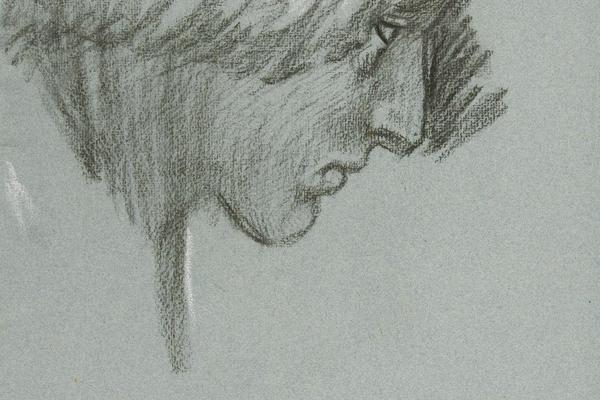 研究一个年轻人的脸，侧面(Study of a young man’s face, in profile )