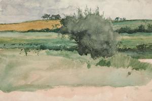 景观-田地(Landscape - Fields)
