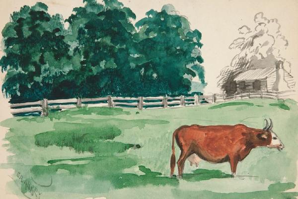 前景中有奶牛的牧场场景(Pasture scene with cow in foreground)