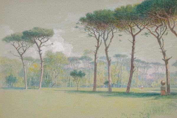 卡斯特尔富萨诺；景观-广阔的草坪和树木(Castel Fusano; Landscape - vast lawn and trees)