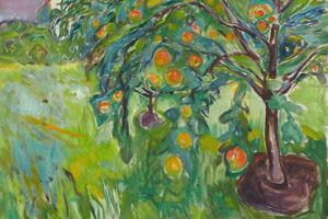 工作室的苹果树(Apple Tree By The Studio )
