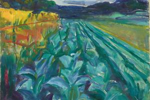 卷心菜田(Cabbage Field )