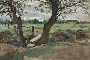 对两棵树和一块田地的研究(Study of two trees and a field)