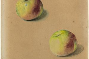两个苹果(Two apples)