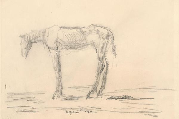 憔悴的马(Emaciated Horse )