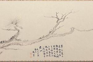松系列5