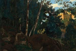 西维塔城堡岩石间的树林(Bosquet d'arbres parmi les rochers à Civita Castellana)