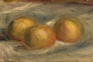 香茅(Citrons)