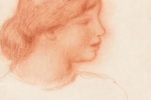 一个年轻女子的侧面像(Profile of a Young Woman )