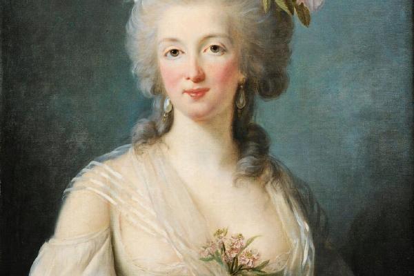 一个女人的肖像珍妮·德拉莫特伯爵夫人(Portrait of a lady said portrait of Jeanne de Valois, Comtesse de la Motte)