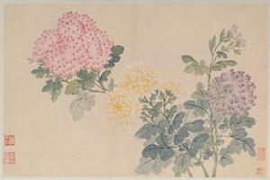 恽寿平花卉山水册-菊花