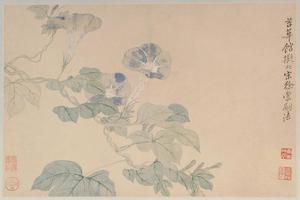 恽寿平花卉山水册-牵牛花