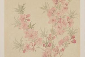 恽寿平花鸟册-桃花