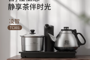 吉谷（K·KOU） 全自动电水壶智能上水壶茶具套装全自动上水电热水壶泡茶壶带消毒可嵌入茶盘烧水壶上水 TC001【不锈钢原色】