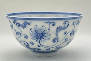 凤尾花宫杯