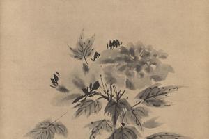 芙蓉图