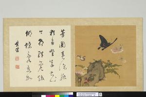 宋摹古花蜨图册