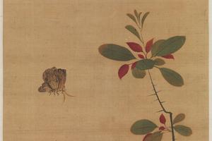 花蝶写生图