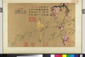花鸟册图