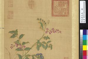 花鸟册