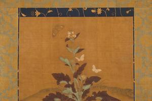 蝴蝶花卉页