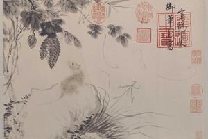 三鼠图册