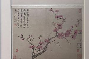 花卉册