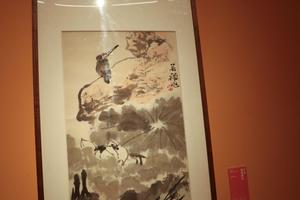 荷花翠鸟