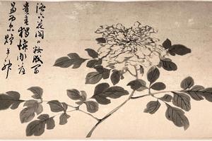 花卉图卷