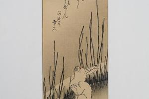 兔子拜月