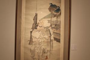屏开金孔雀